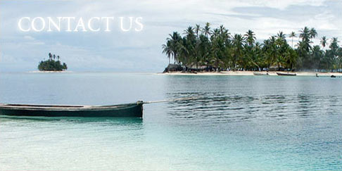 Contact Us